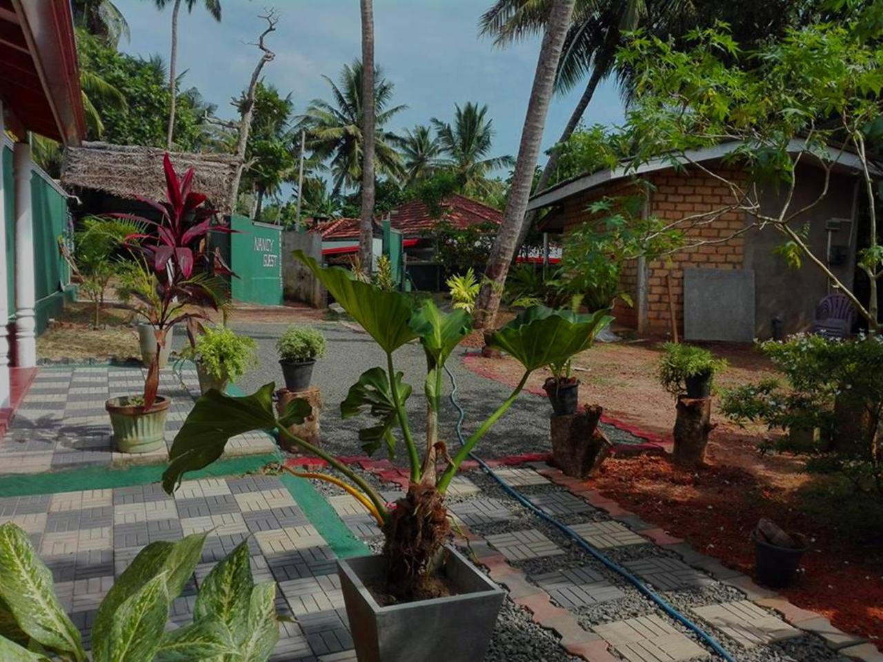 Nancy Guest Hotel Mirissa Luaran gambar